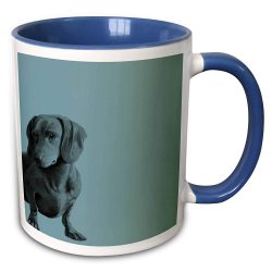 Taza con foto perro salchicha